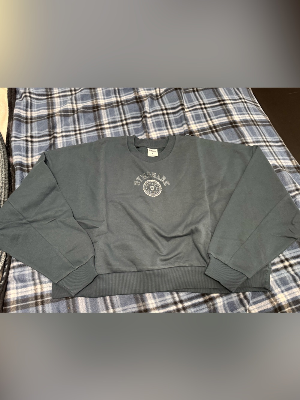 Gymshark Washed Blue Crewneck Sweatshirt with Chest Emblem